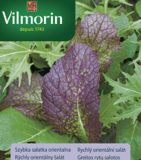 Vilmorin - Rychlý orientální salát - semena - 2 g