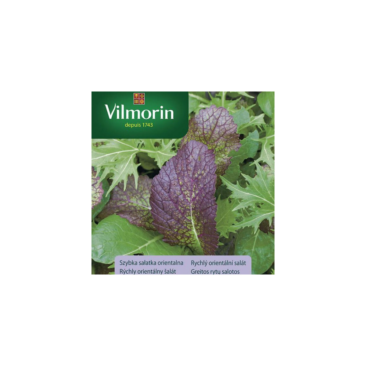 Vilmorin - Rychlý orientální salát - semena - 2 g