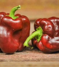 Paprika hnědá - Hnědá Kráska - Capsicum annuum - semena - 9 ks