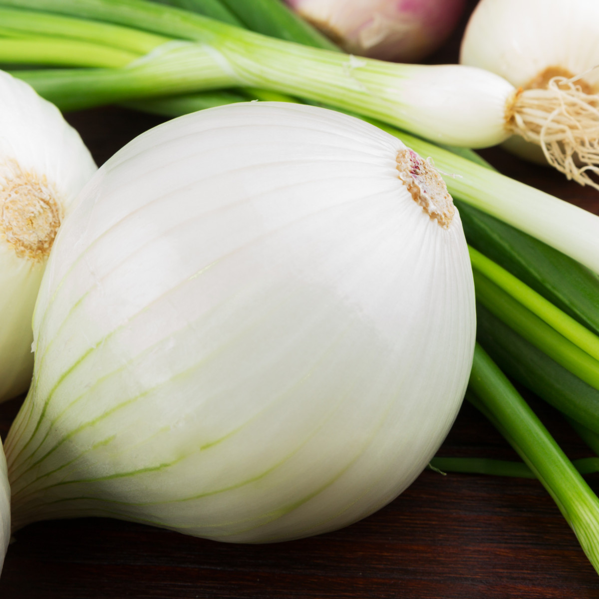 Cibule jarní bílá - semena - 250 ks