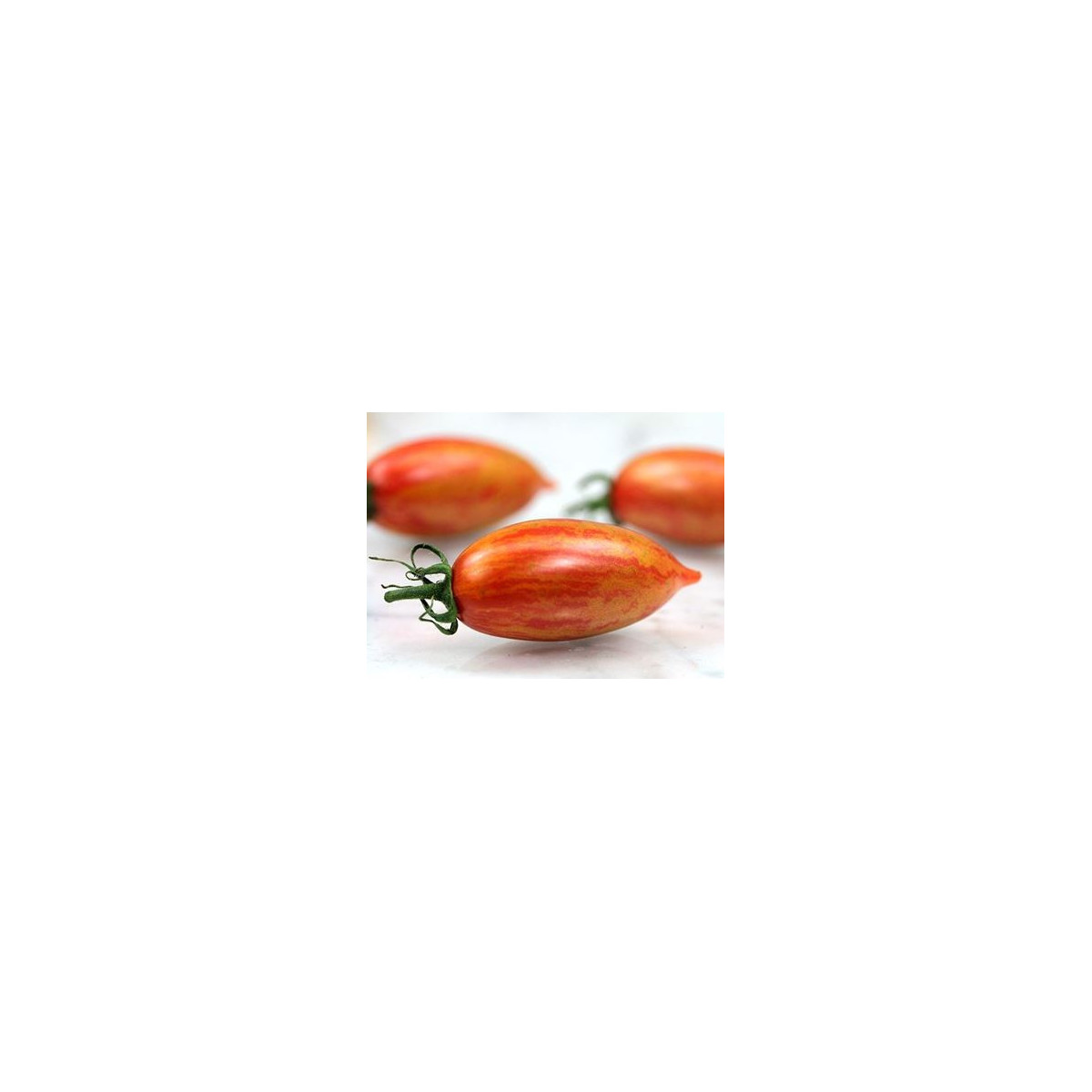 Rajče Artisan Pink Tiger - Solanum lycopersicum - semena rajčete - 5 ks
