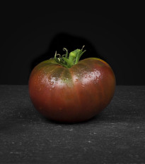 Rajče Černý muž - Solanum lycopersicum - semena rajčete - 6 ks