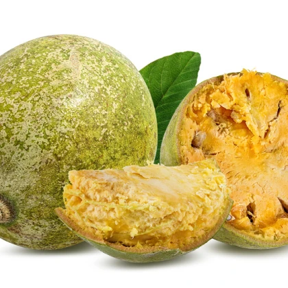 Oslizák líbezný - Aegle marmelos - semena oslizáku - 3 ks