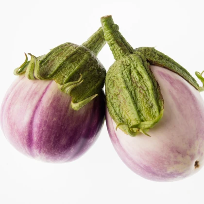 Lilek Baklažán - Rosa Bianca - prodej semen lilku - 6 ks