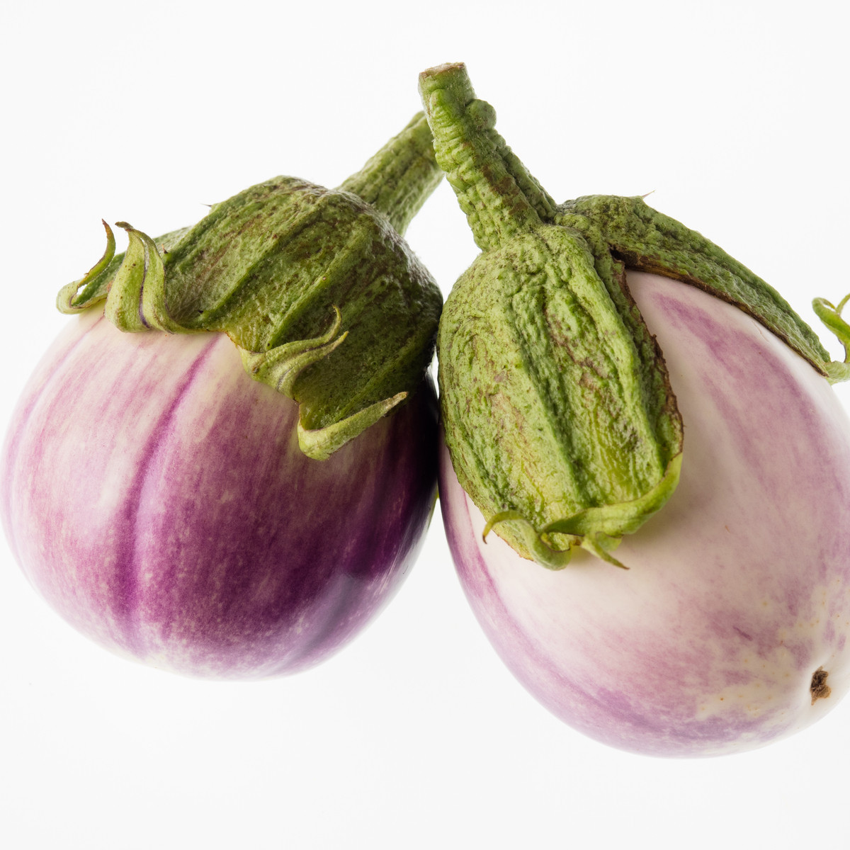 Lilek Baklažán - Rosa Bianca - prodej semen lilku - 6 ks