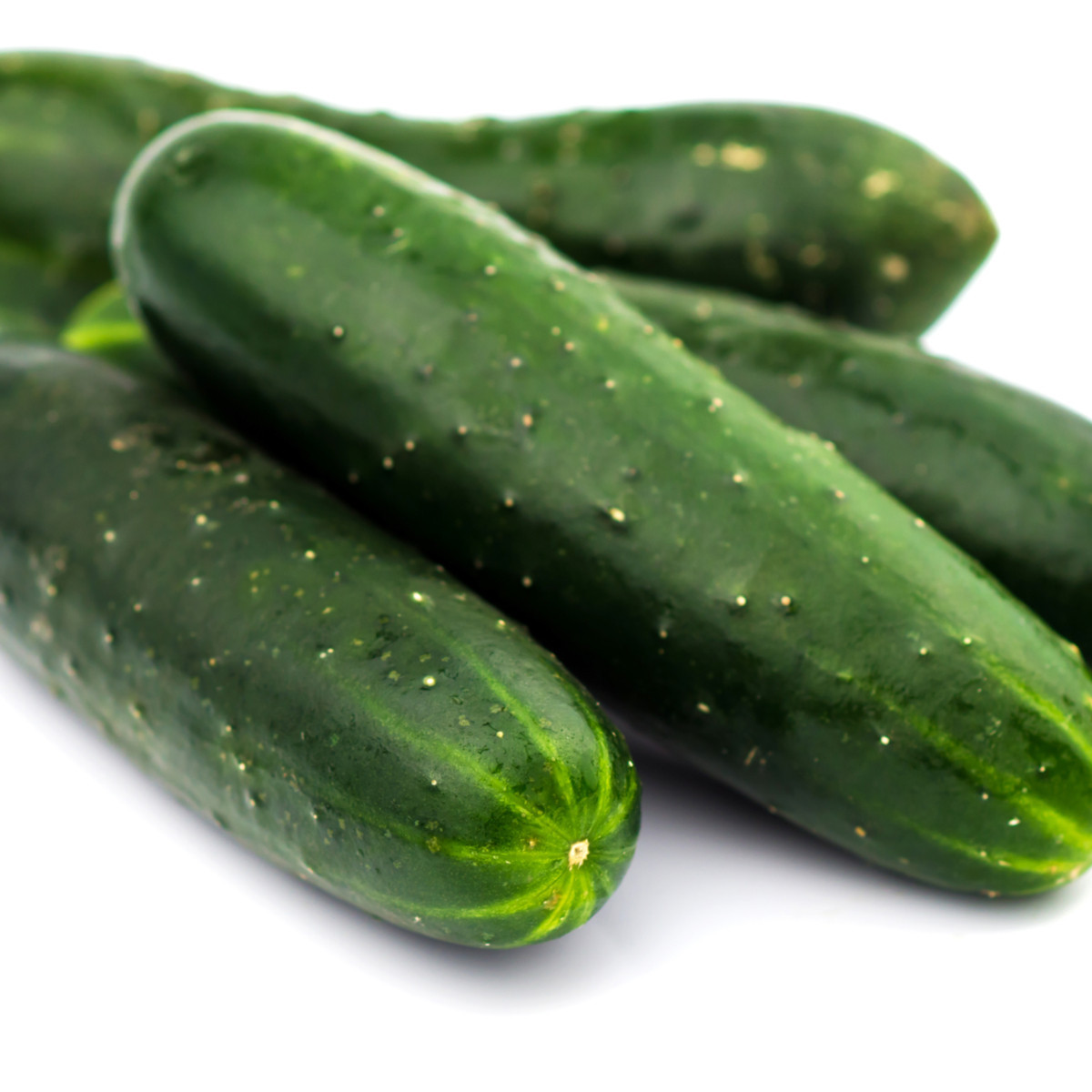 Salátová okurka Delikates - Cucumis sativus - semena - 20 ks