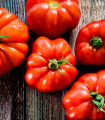 Rajče Marmande - Solanum lycopersicum - semena rajčete - 20 ks