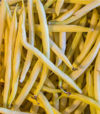 Fazole Orinoco - Phaseolus vulgaris - semena - 20 ks