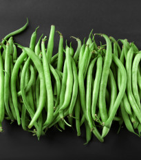 Fazole tyčková Primel - Phaseolus vulgaris - semena fazole - 20 ks