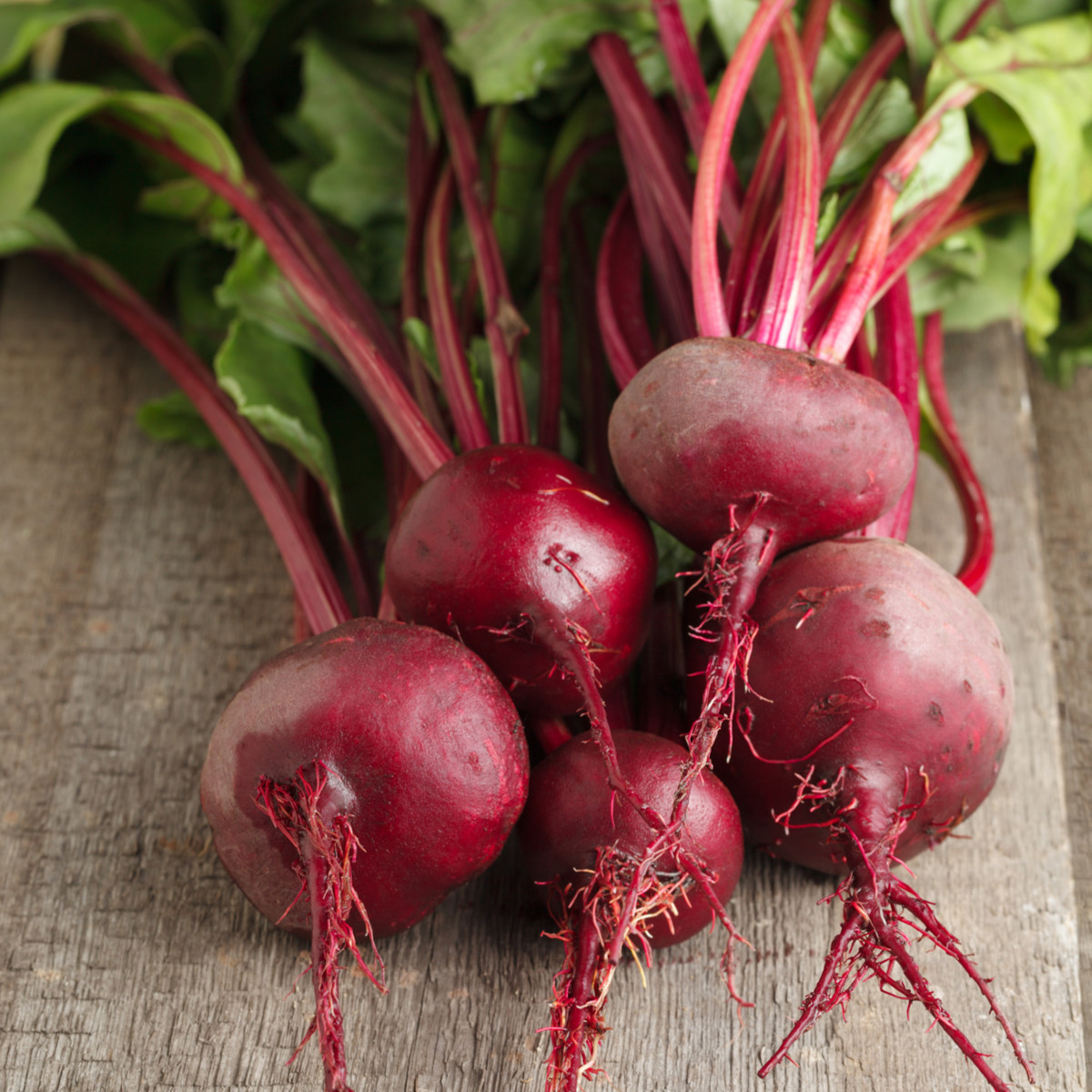 Řepa Ägyptische Plattrunde - Beta vulgaris - semena řepy - 50 ks