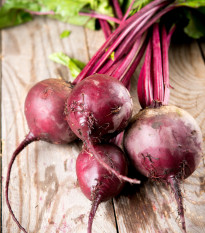 BIO Řepa červená Detroit 2 - Beta vulgaris var. vulgaris - bio semena řepy - 50 ks