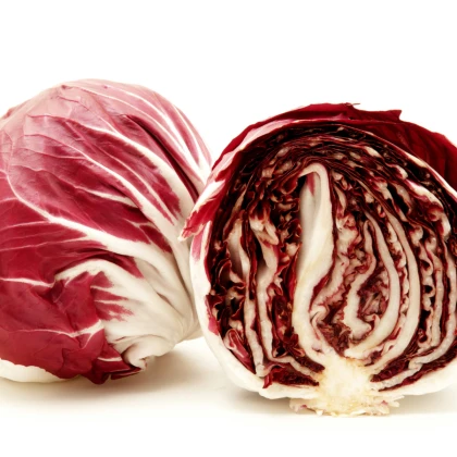 Čekanka salátová Palla rosa - Cichorium intybus - semena čekanky - 200 ks