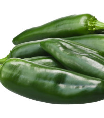 Chilli Ancho - Capsicum annuum - semena chilli - 6 ks