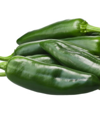 Chilli Ancho - Capsicum annuum - semena chilli - 6 ks