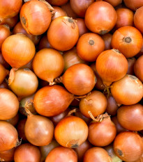 BIO Cibule jarní žlutá - Allium cepa - bio semena cibule - 500 ks