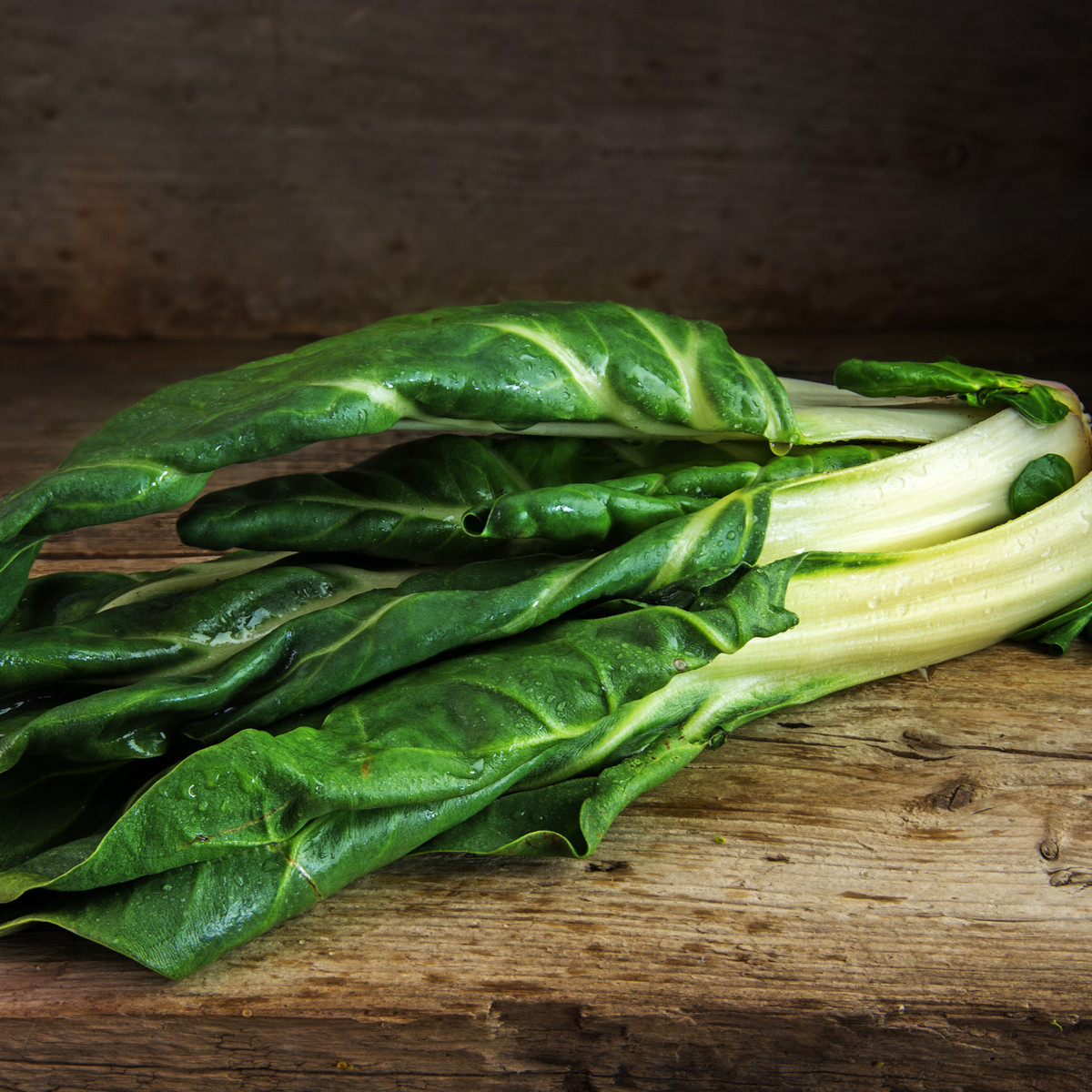 Mangold Lucullus - Beta vulgaris - semena mangoldu - 100 ks