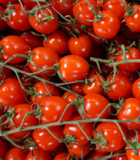 Rajče Supersweet F1 - Solanum lycopersicum - semena rajčete - 6 ks