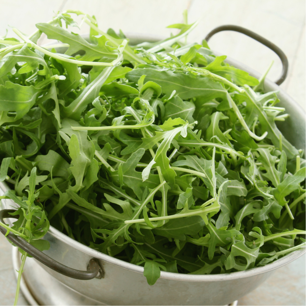 Křez úzkolistý Grazia - Divoká roketa - Diplotaxis tenuiflora - semena křezu - 20 ks