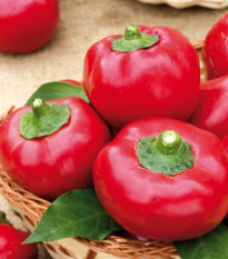 Rajčatová paprika Topgirl - Capsicum annuum - semena - 7 ks