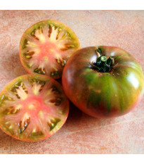 Rajče Cherokee - Solanum lycopersicum - semena rajčete - 7 ks