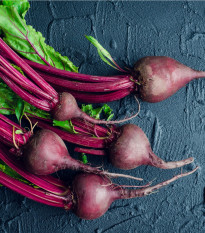 BIO Řepa Ägyptische Plattrunde - Beta vulgaris - bio semena řepy - 50 ks