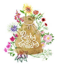 Dárkový balíček semen letniček - zdarma dárkové balení