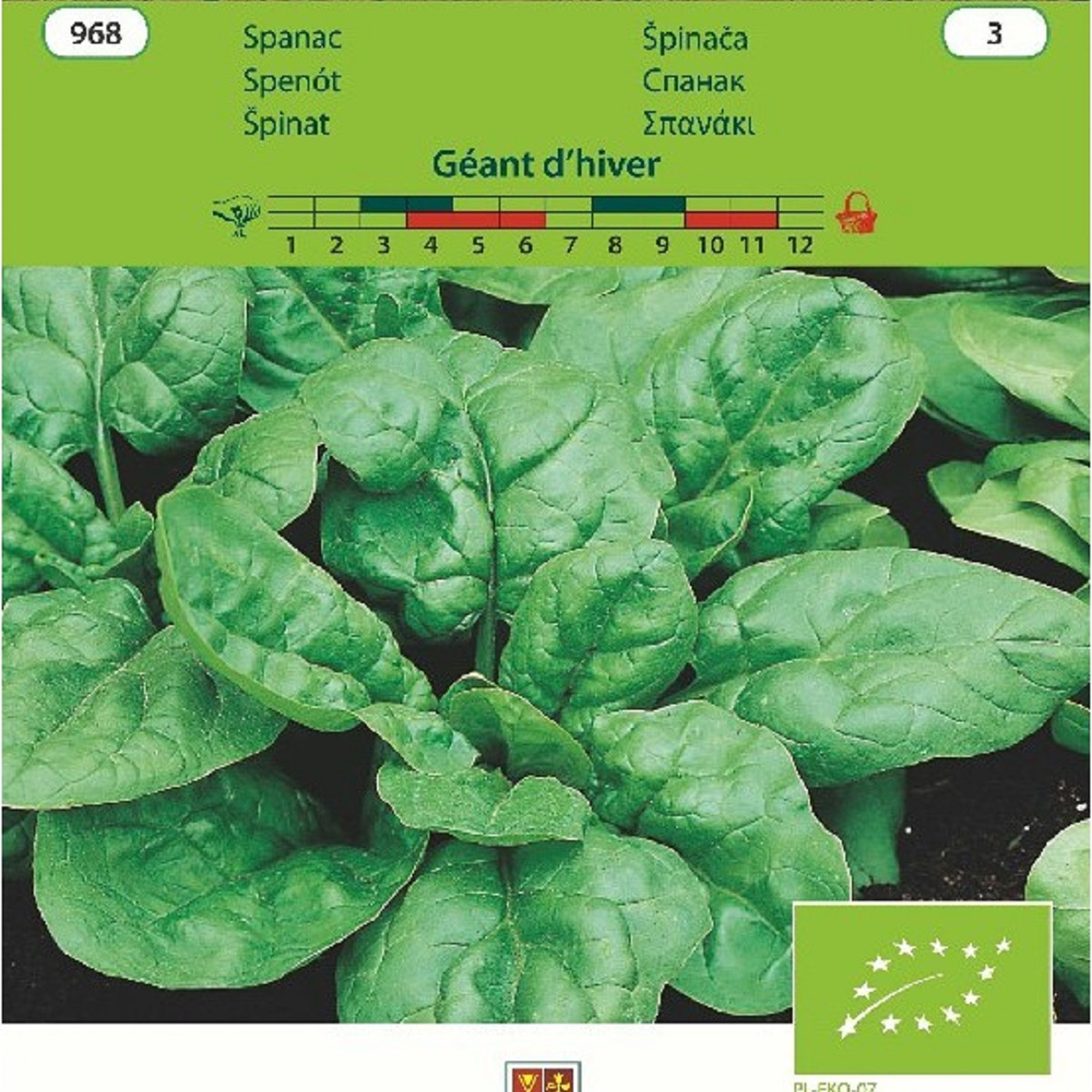BIO Špenát Geant d'hiver- Spinacea oleracea - bio semena - 10 g