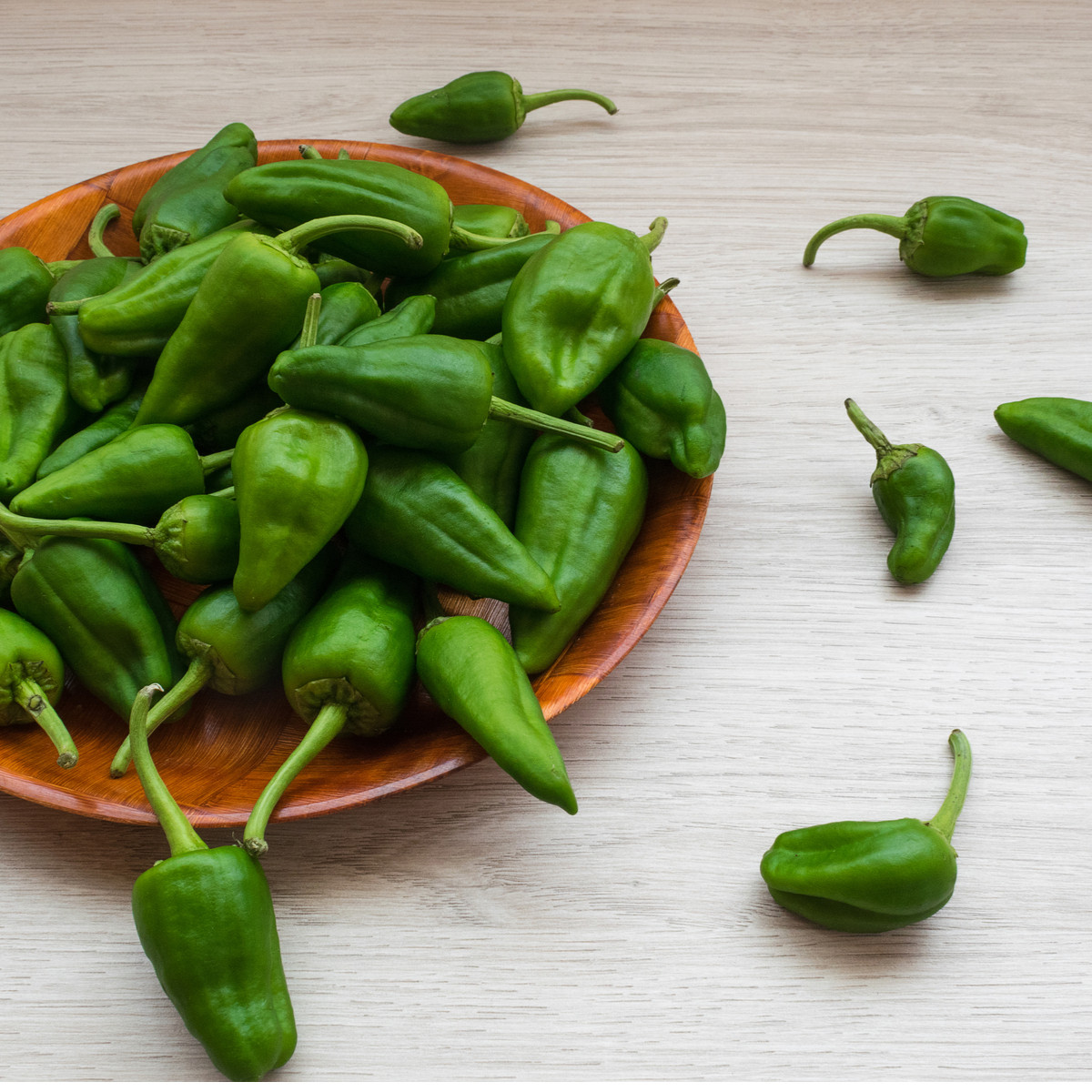 Chilli Pimientos De Padron - Capsicum annuum - semena chilli - 7 ks