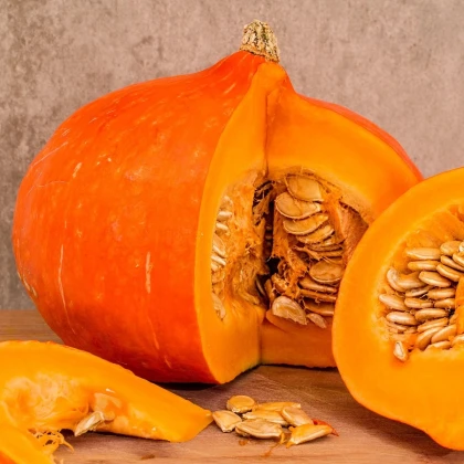 BIO Tykev Amoro F1 - Cucurbita maxima - bio semena tykve - 5 ks