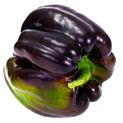 Paprika Zulu - Capsicum annuum - semena papriky - 10 ks