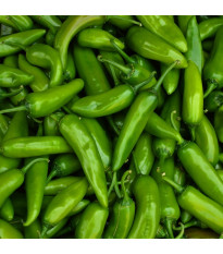Chilli Velký Jim - Capsicum annuum - semena chilli - 7 ks