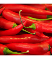 Chilli Aji Crystal - Capsicum baccatum - semena chilli - 7 ks