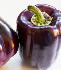 Paprika Zulu - Capsicum annuum - semena papriky - 10 ks