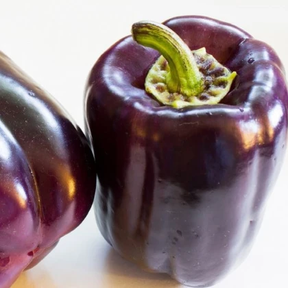 Paprika Zulu - Capsicum annuum - semena papriky - 10 ks