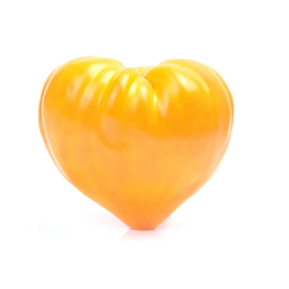 Rajče Oranžová jahoda – Lycopersicon lycopersicum – semena rajčat – 6 ks