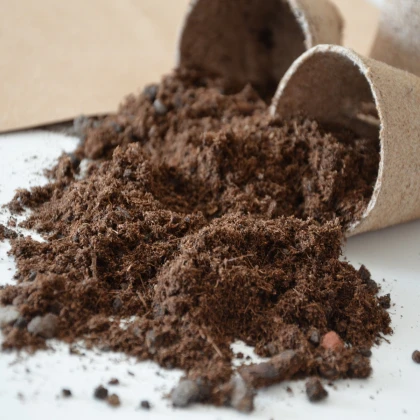 Substrát pro bambusy - speciální substrát - 100 g