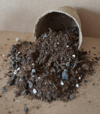 Substrát pro rostliny ze Středomoří - speciální substrát - 100 g