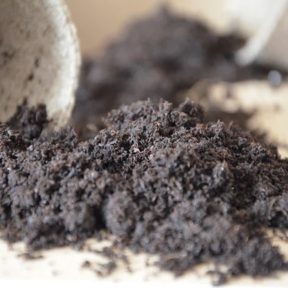 Substrát pro okrasné rostliny - speciální substrát - 100 g