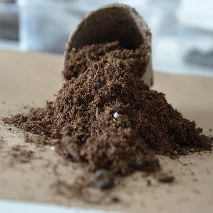 Substrát pro čajovníky - speciální substrát - 100 g