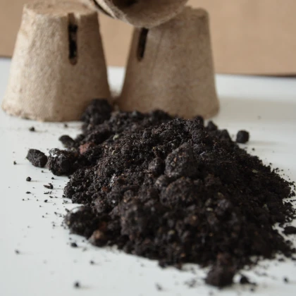 Substrát pro banánovníky - speciální substrát - 100 g