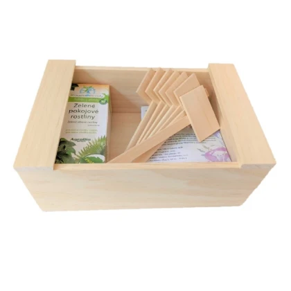 Krabička dřevěná - uzavíratelný box - 1 ks