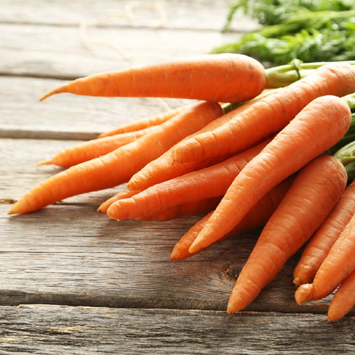 Mrkev letní Juwarot - Daucus carota - semena mrkve - 900 ks