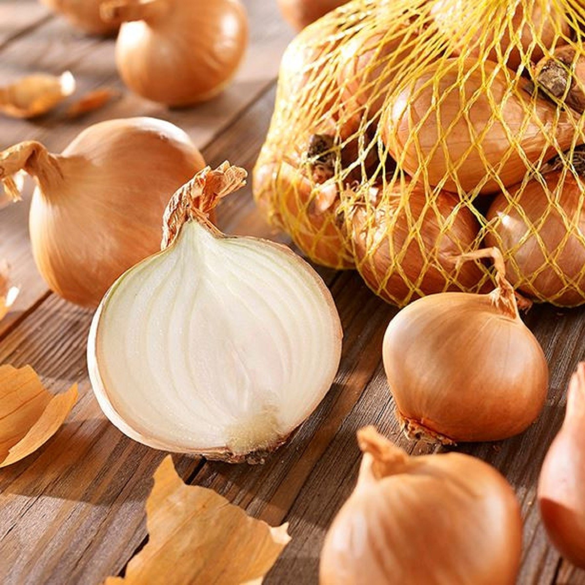 Cibule šalotka Golden Gourmet - Allium cepa - cibulky - 500 g