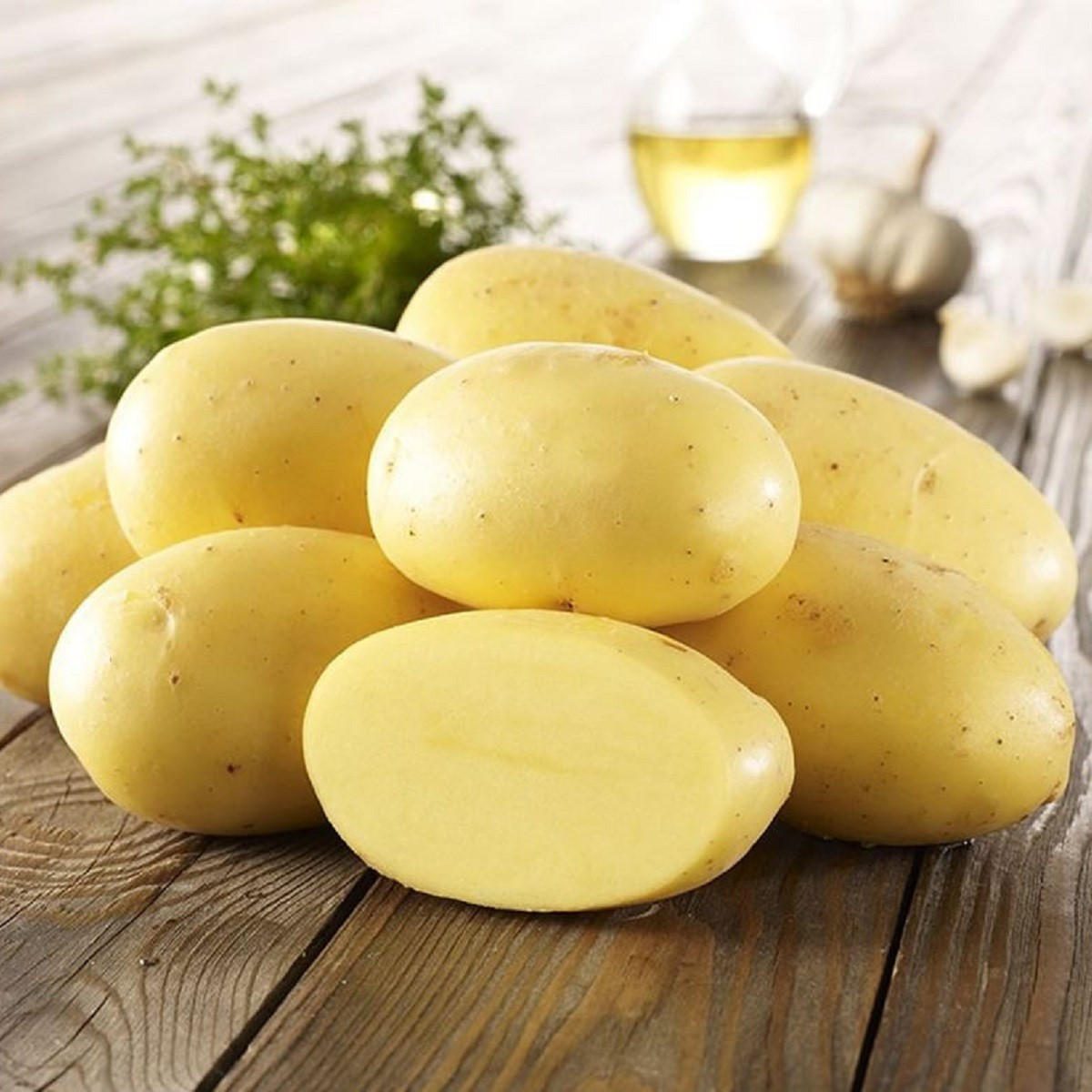 Sadbové brambory Agria - Solanum tuberosum - brambory - 10 ks