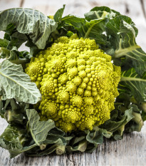 Veronica karfiol - Brassica oleracea L. convar. botrys - karfiolmag - 10 db