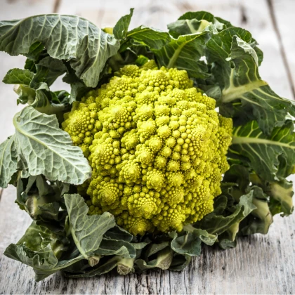 Veronica karfiol - Brassica oleracea L. convar. botrys - karfiolmag - 10 db