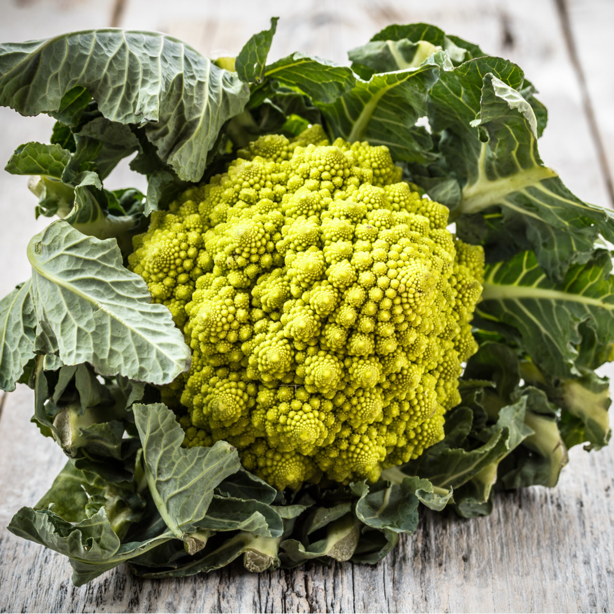 Veronica karfiol - Brassica oleracea L. convar. botrys - karfiolmag - 10 db