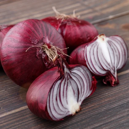 Cibule červená Braunschweiger - Allium cepa - semena cibule - 250 ks