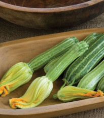 BIO Cuketa Costata Romanesco - Cucurbita pepo - bio semena cukety - 8 ks