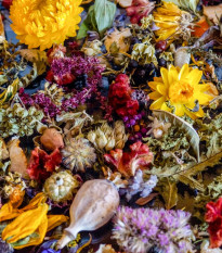 Letničky k sušení - semena letniček - směs letniček - 0,9 g